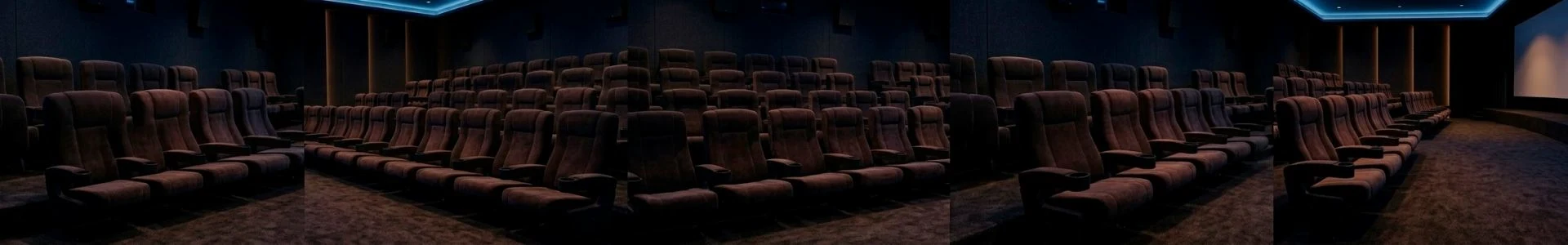 Konferans & Sinema Koltukları